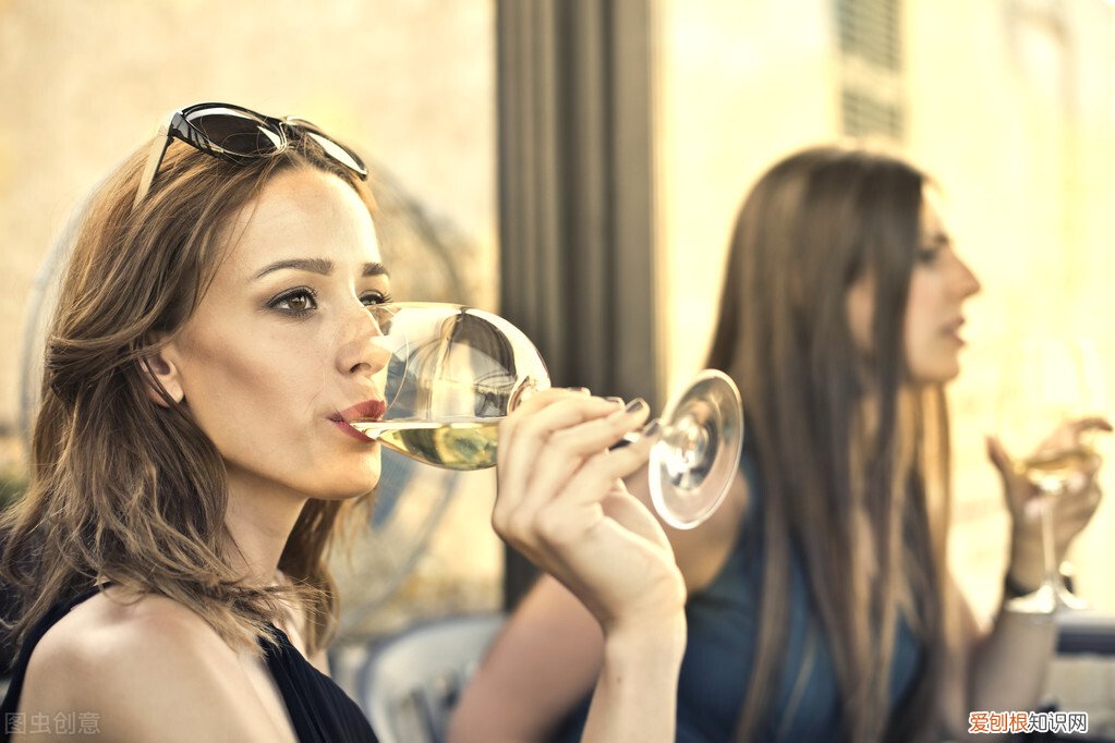 关于葡萄酒的知识大全