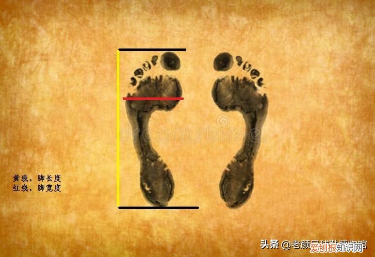 如何选择足球鞋