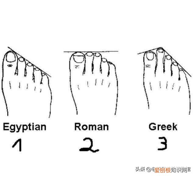 如何选择足球鞋