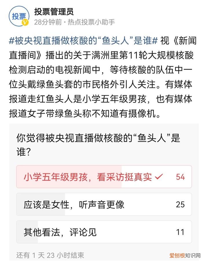 央视新闻里戴绿鱼头套走红男孩发声“网友全是黑我的,说我蹭热度“