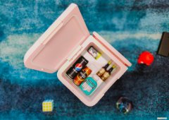 迷你便携式冰箱哪个牌子好