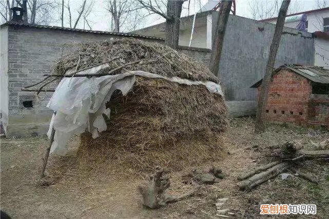 千万粉丝的“张同学”,被中国消防点名了,视频中有违规行为