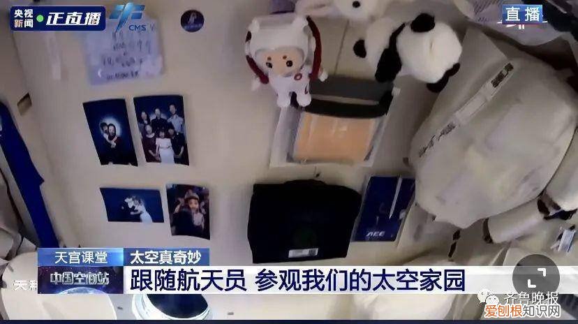 “天宫课堂”都讲了啥?一场精彩的太空科普课