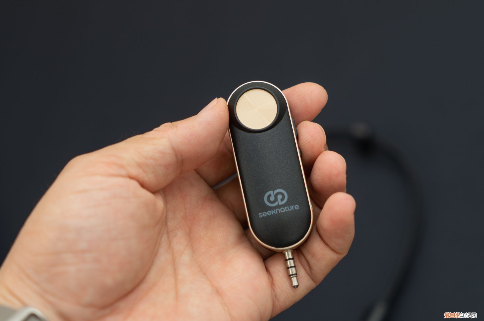 直播无线监听耳机哪个牌子好