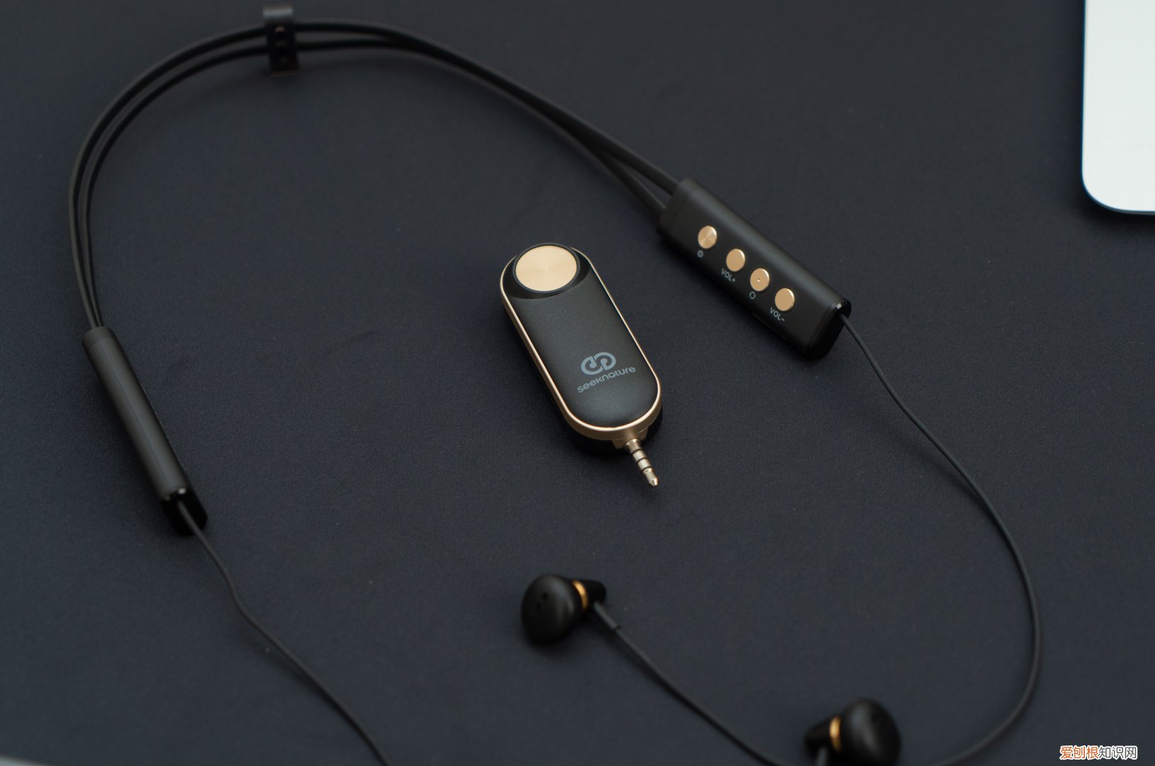 直播无线监听耳机哪个牌子好