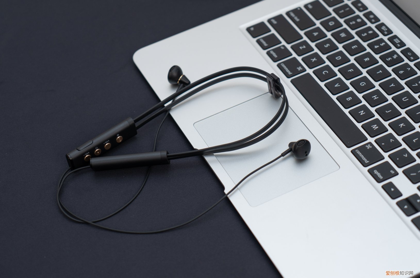 直播无线监听耳机哪个牌子好