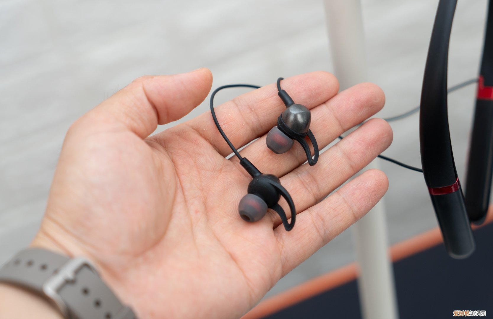 直播无线监听耳机哪个牌子好