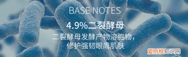 法国hr赫莲娜眼霜怎么样 评测体验分享