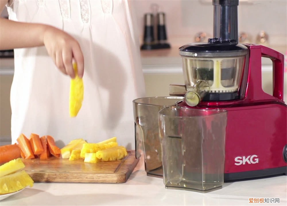 榨汁机和原汁机的区别对比哪个好