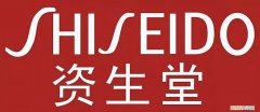 资生堂盼丽风姿眼霜怎么样