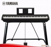 电钢琴什么牌子质量好