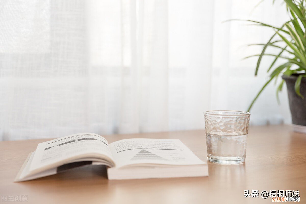 五本值得看得好书推荐及理由