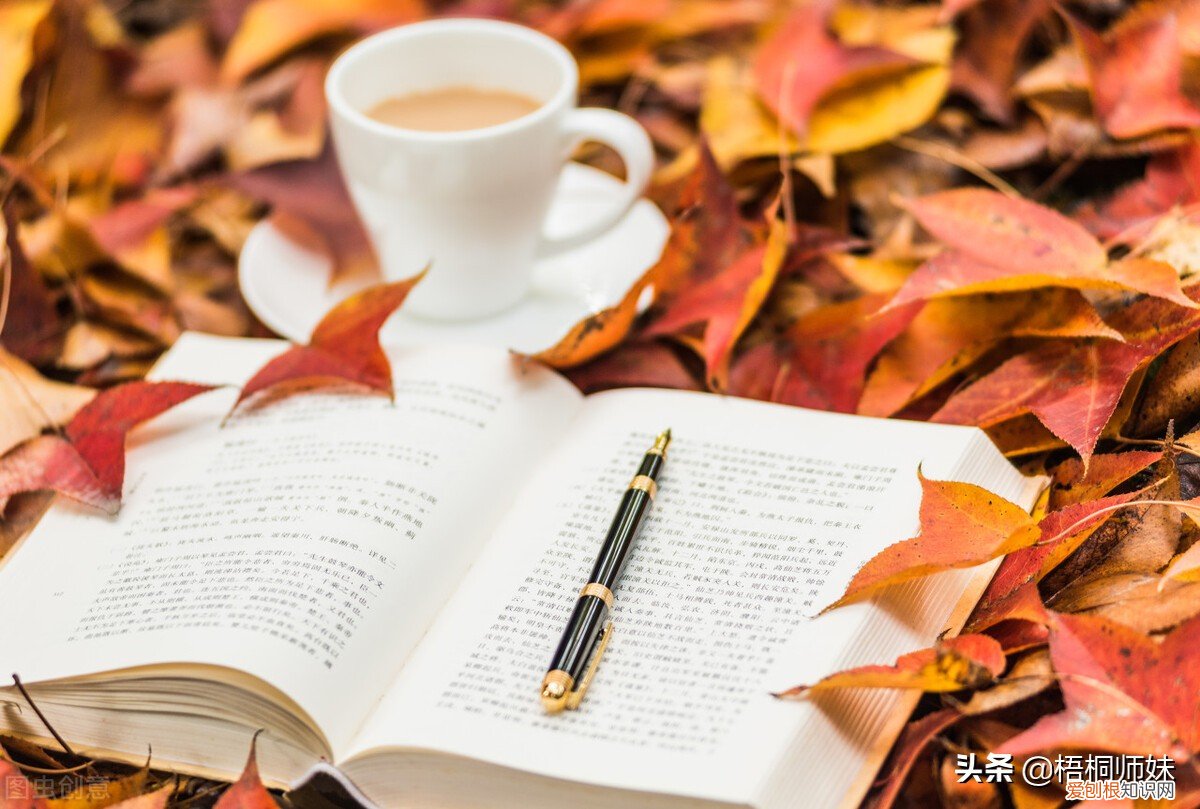 五本值得看得好书推荐及理由