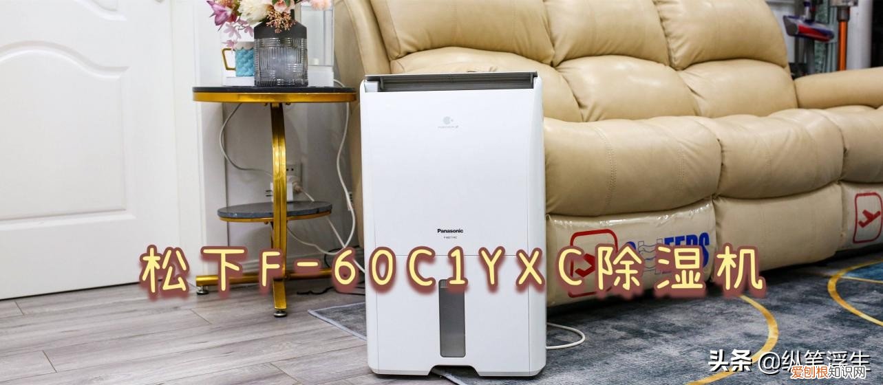 松下F-60C1YXC除湿机怎么样