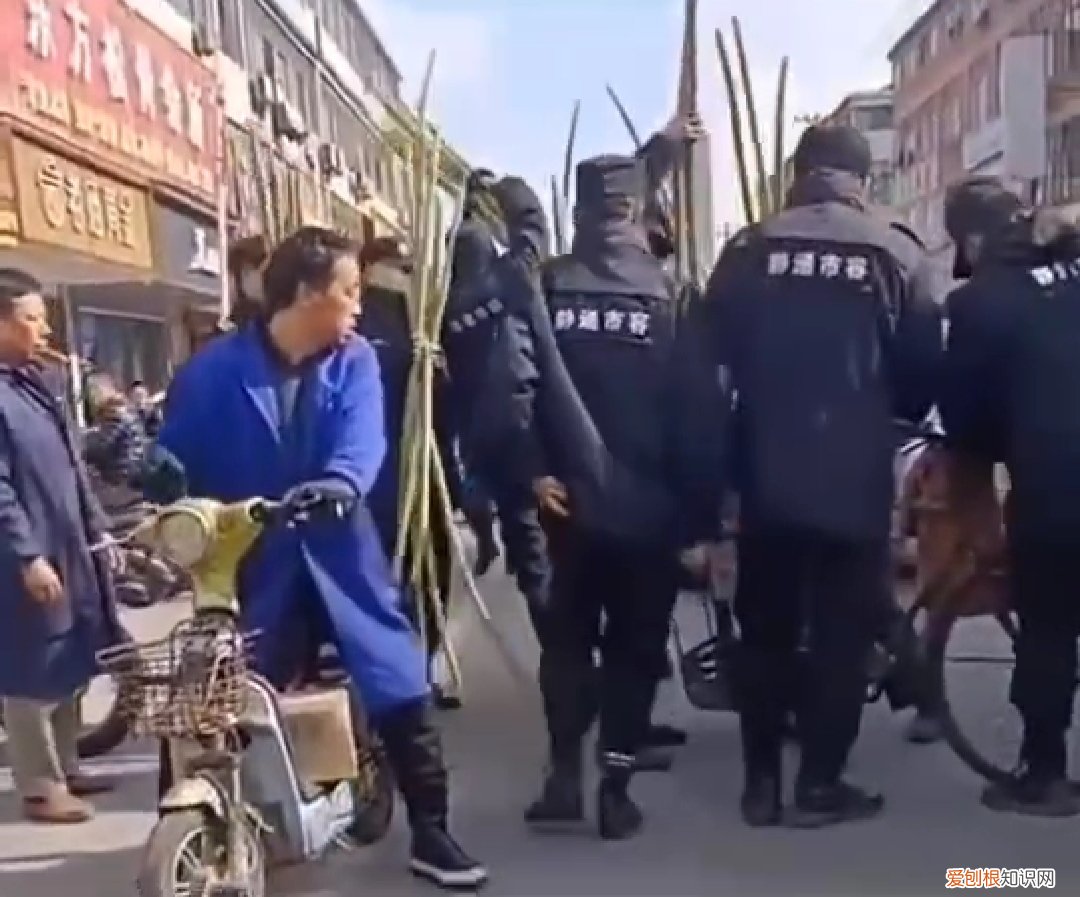 南通市容公司将老人2000根甘蔗全买下