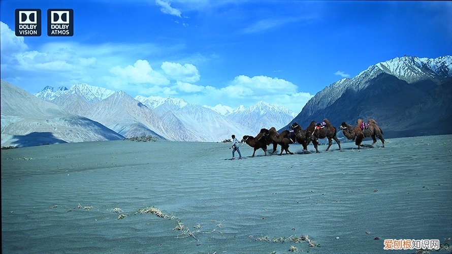 TCL 98q6e巨幕电视质量怎么样？