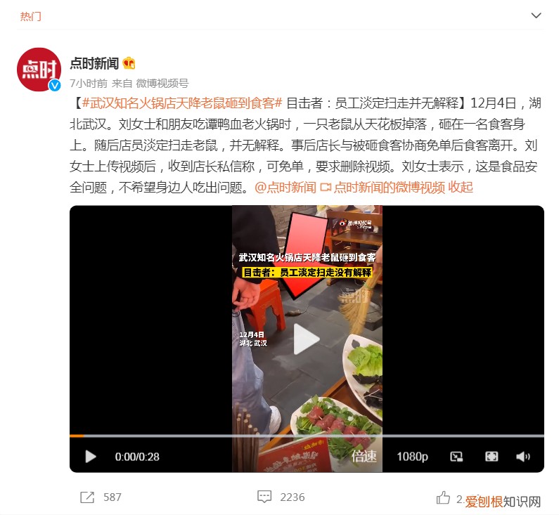 武汉知名火锅店天降老鼠砸到食客，店员淡定扫走老鼠，并无解释。