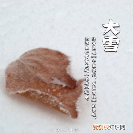 今日大雪，注意保暖