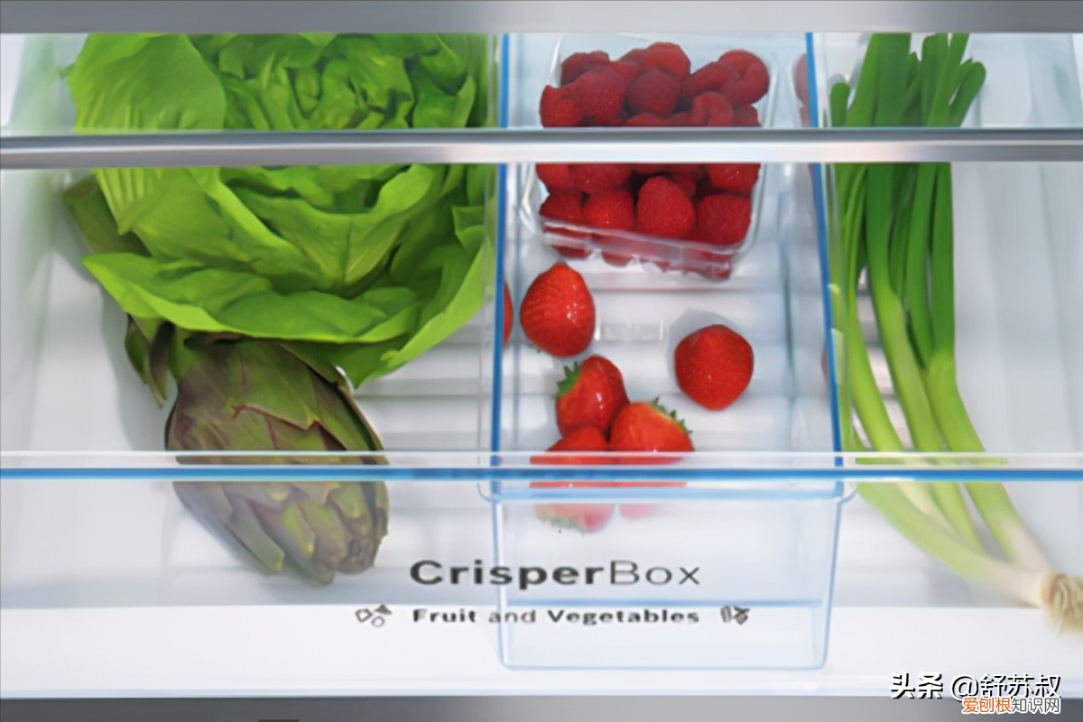 西门子冰箱和博世冰箱哪个更好？区别对比分析