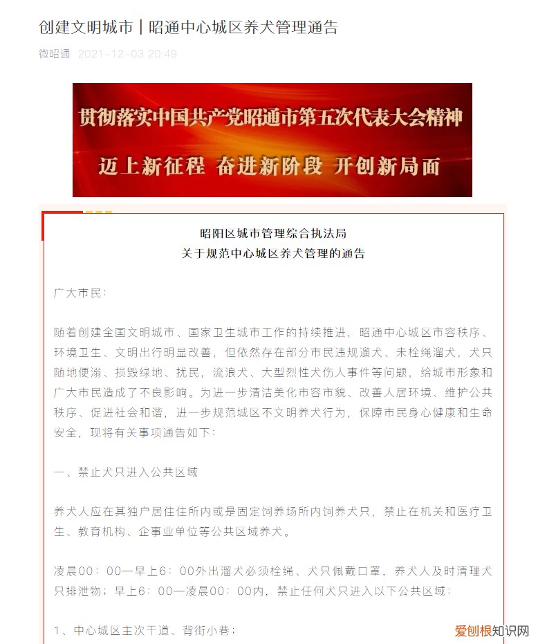 最严遛狗令限时凌晨还要给狗戴口罩，云南昭通回应