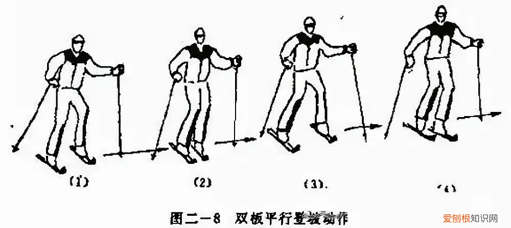 滑雪初学者选择单板还是双板