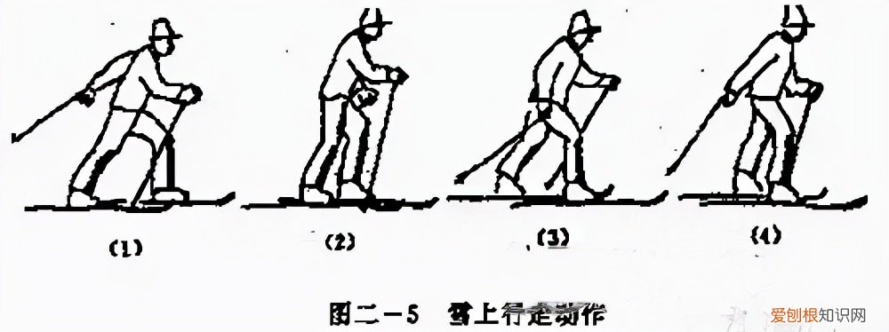 滑雪初学者选择单板还是双板