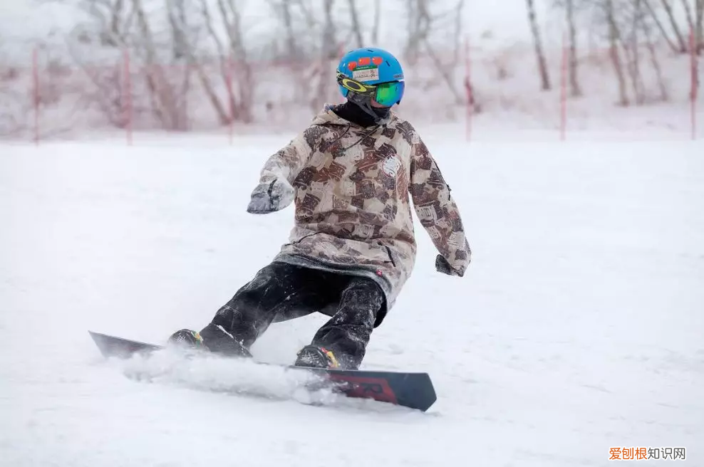 滑雪初学者选择单板还是双板