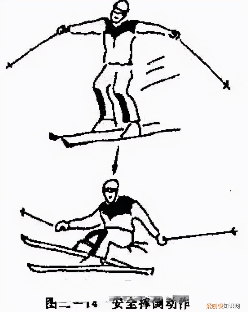 滑雪初学者选择单板还是双板