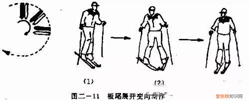 滑雪初学者选择单板还是双板