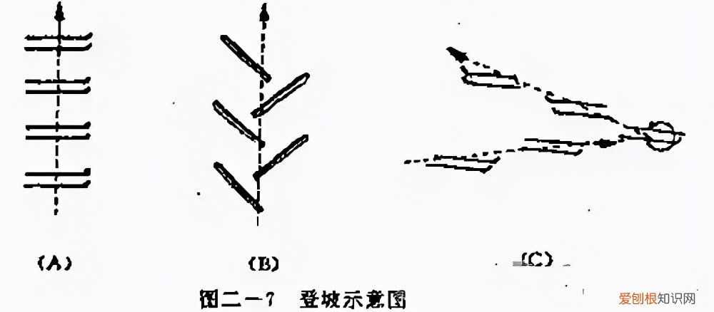 滑雪初学者选择单板还是双板