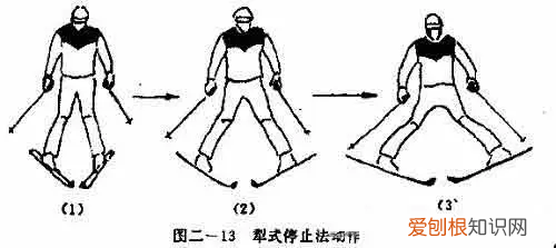 滑雪初学者选择单板还是双板