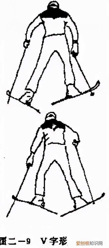 滑雪初学者选择单板还是双板