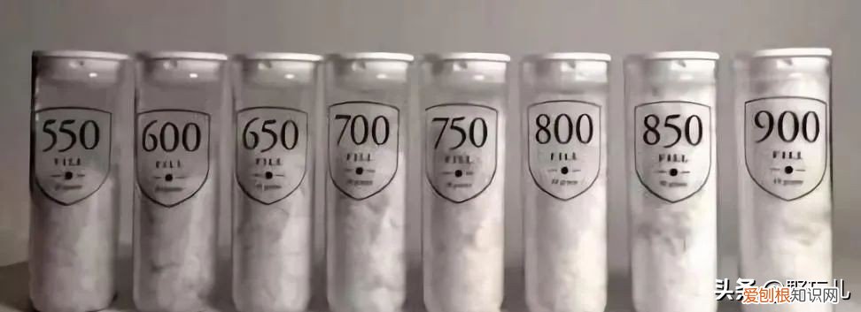 羽绒服应该怎么选?