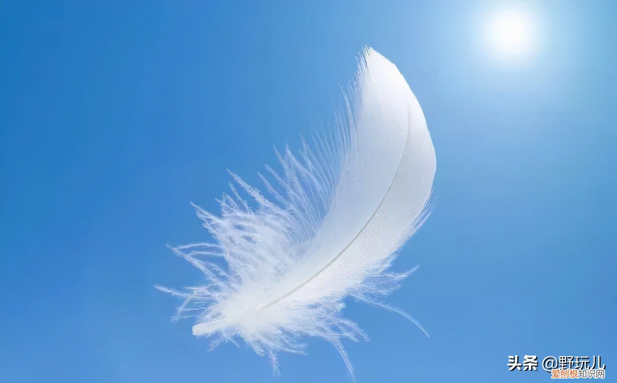 羽绒服应该怎么选?