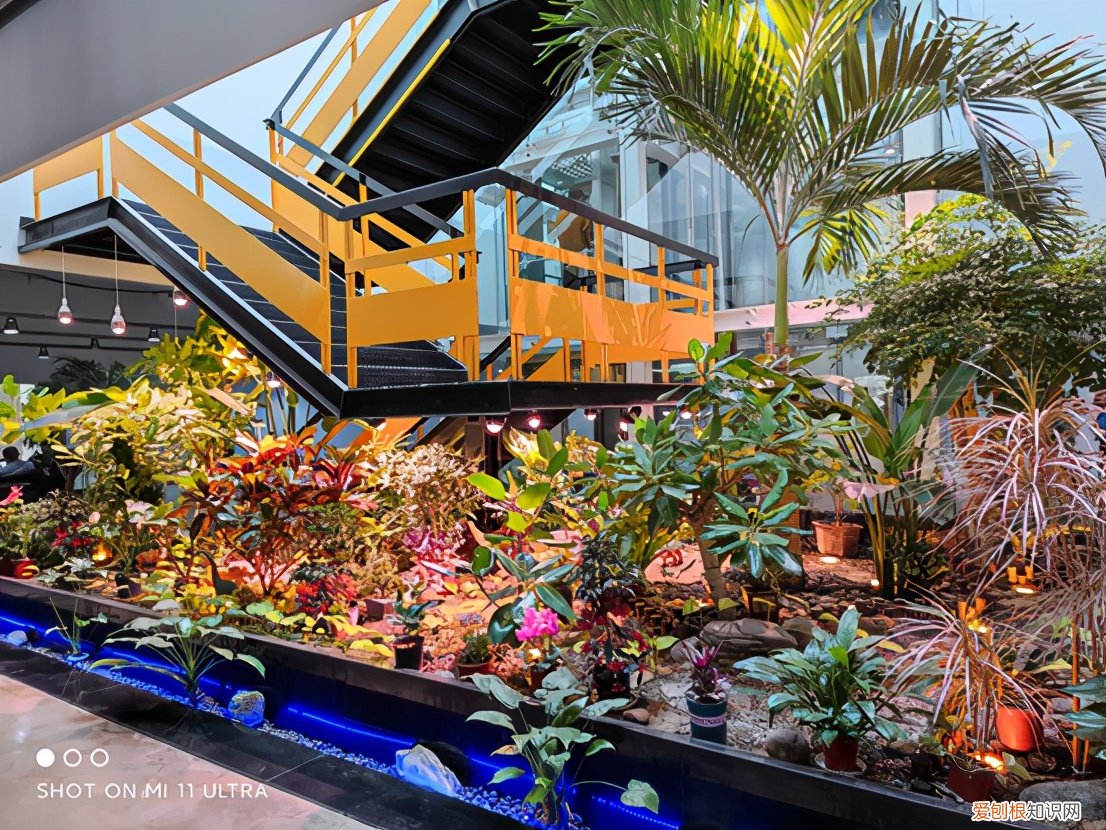 小米11 ultra评测值得买吗，真的发热严重？