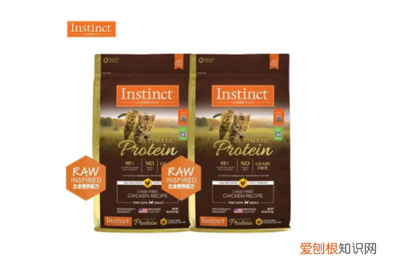 什么猫粮好一点,什么牌子好还便宜?