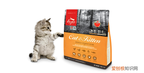 什么猫粮好一点,什么牌子好还便宜?