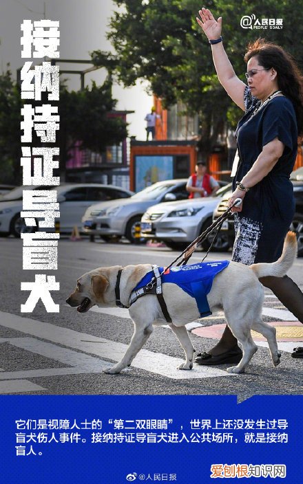 今天,12月3日,为8500万人发条微博