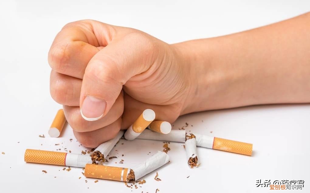 烟嘴过滤器有用吗,过滤烟嘴真的可以减少伤害吗?带你深入了解