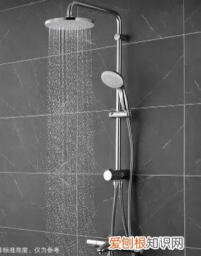 家用淋浴花洒买什么牌子好?