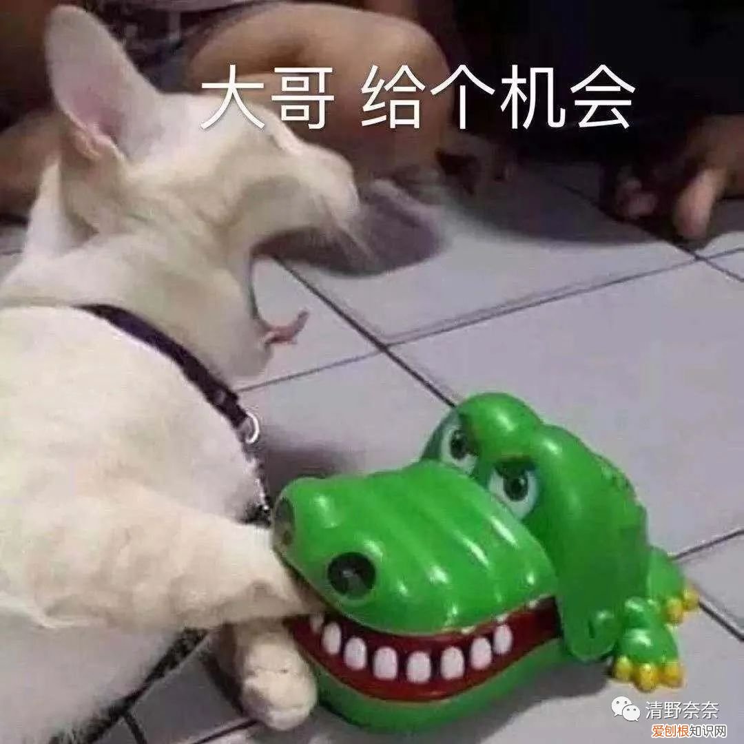 粉饼哪个牌子好用不脱妆?