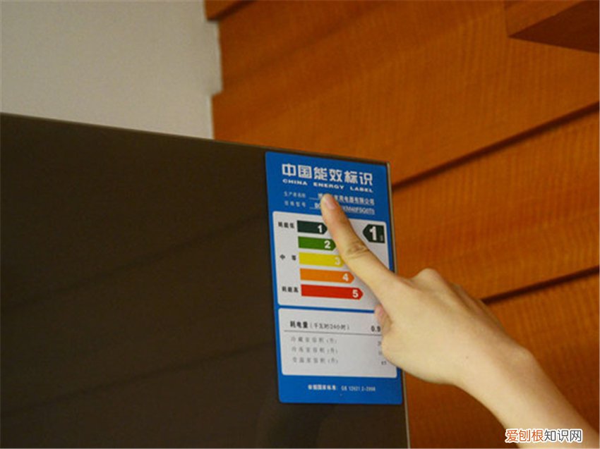 买冰箱怎么选择,需要注意什么?