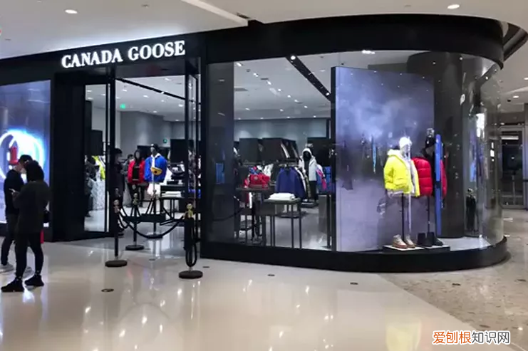 冲上热搜！上海市消保委约谈加拿大鹅