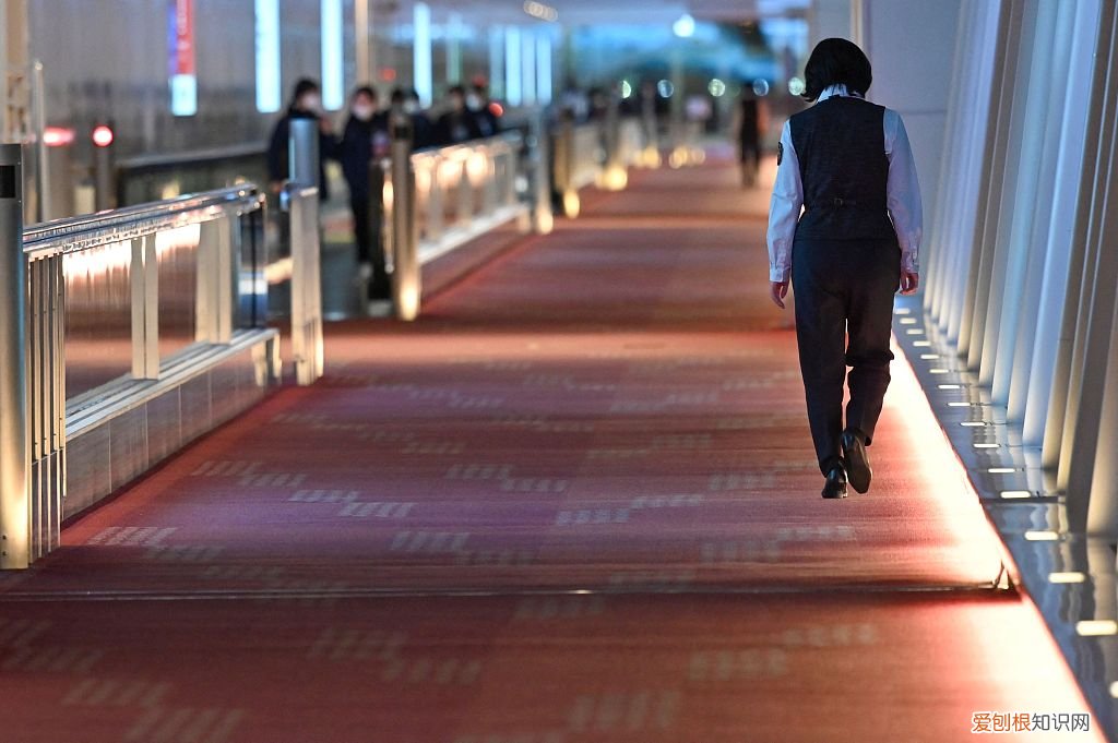 日本封国：37万人等待入境，其中留学生占近7成