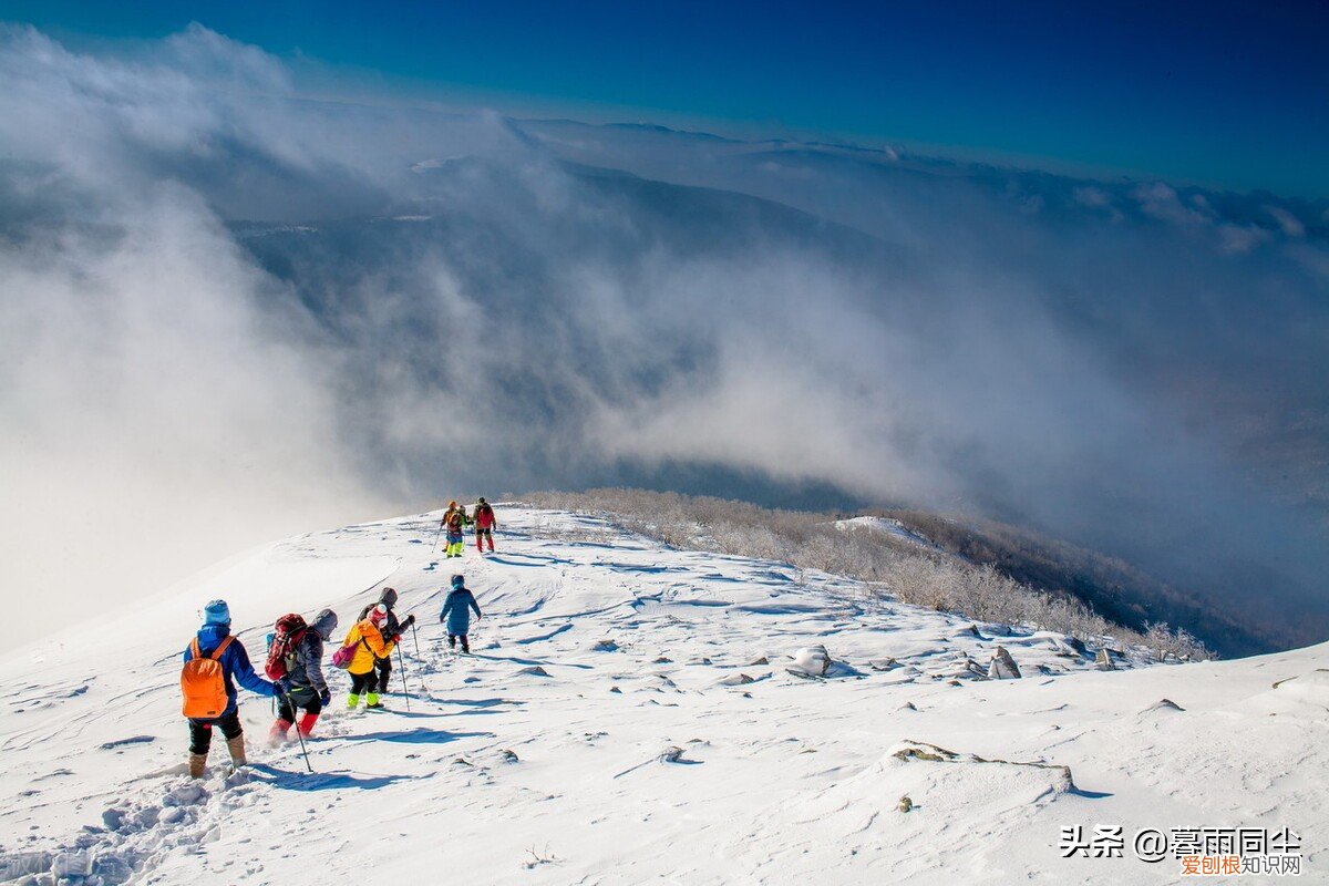 登山鞋哪个牌子质量好又实惠?