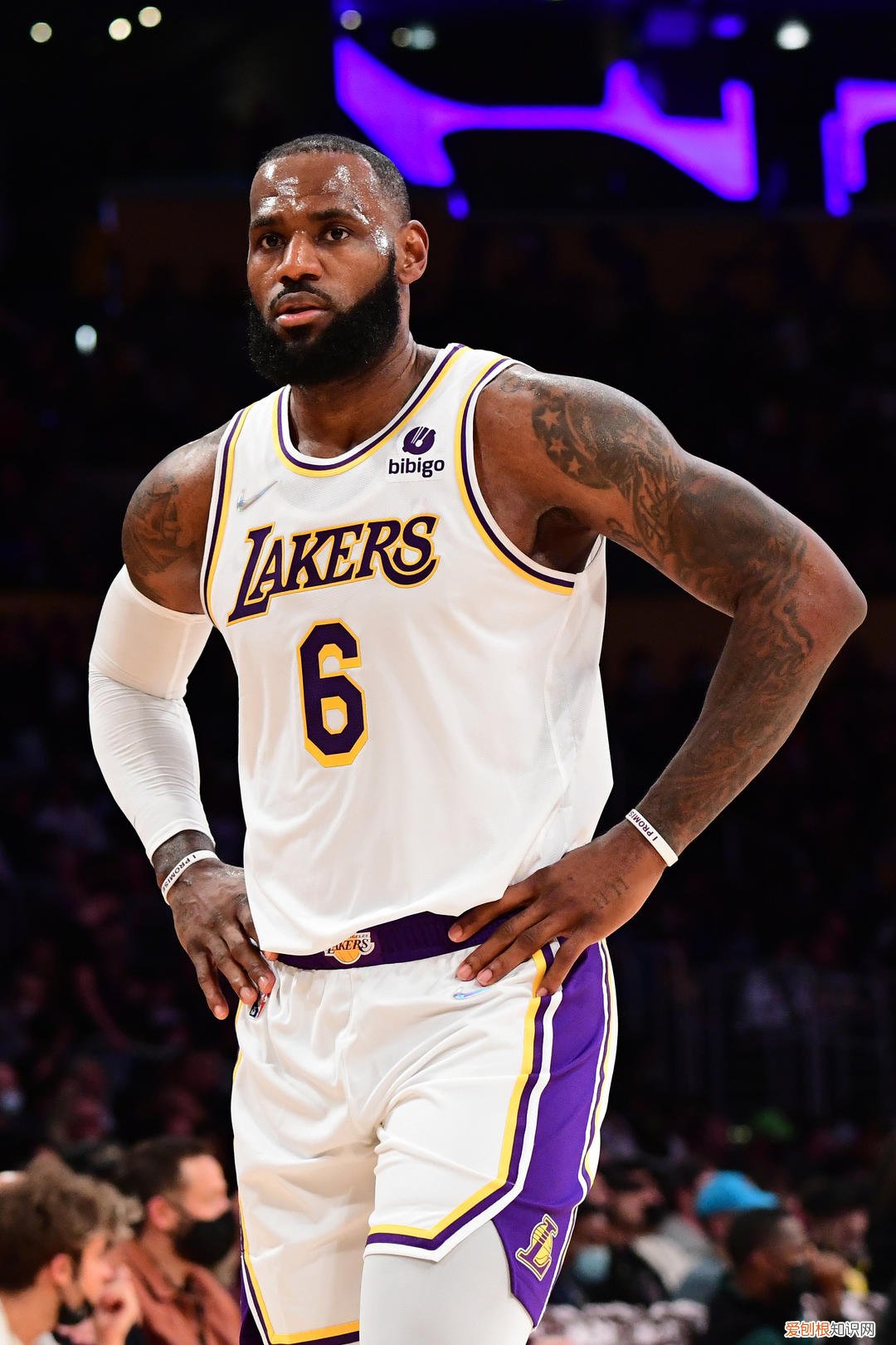 曝詹姆斯感染新冠,三次核酸检测两次阳性