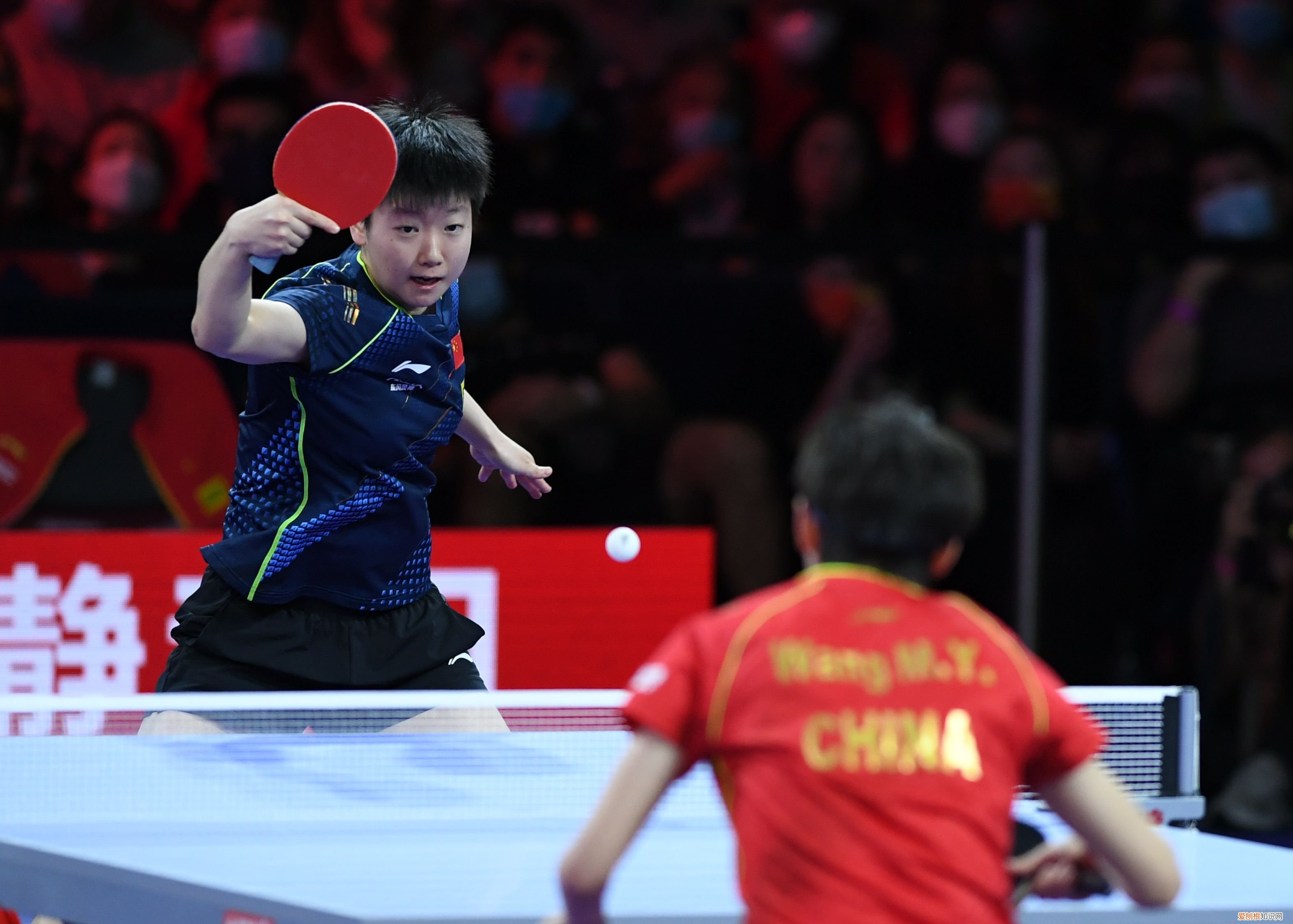 王曼昱首夺世乒赛女单冠军