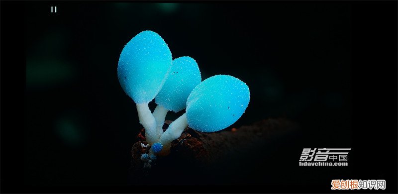 杰科BDP-G5800和BDP-G5700全面对比测评分享