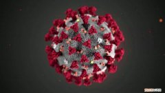 南开专家团队：数据建模发现奥密克戎传染力比德尔塔增37.5%，需重点做好防御