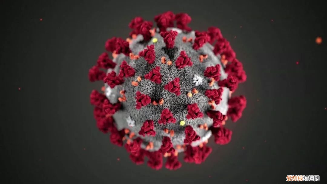 南开专家团队:数据建模发现奥密克戎传染力比德尔塔增37.5%,需重点做好防御